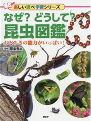 なぜ?どうして?昆蟲圖鑑 おどろきの能力