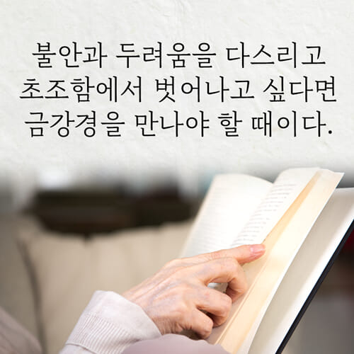 카드뉴스9
