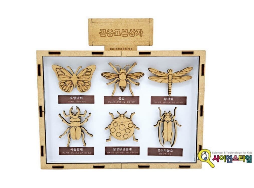 프로 곤충 표본 상자 만들기학습용 브로마이드 제공