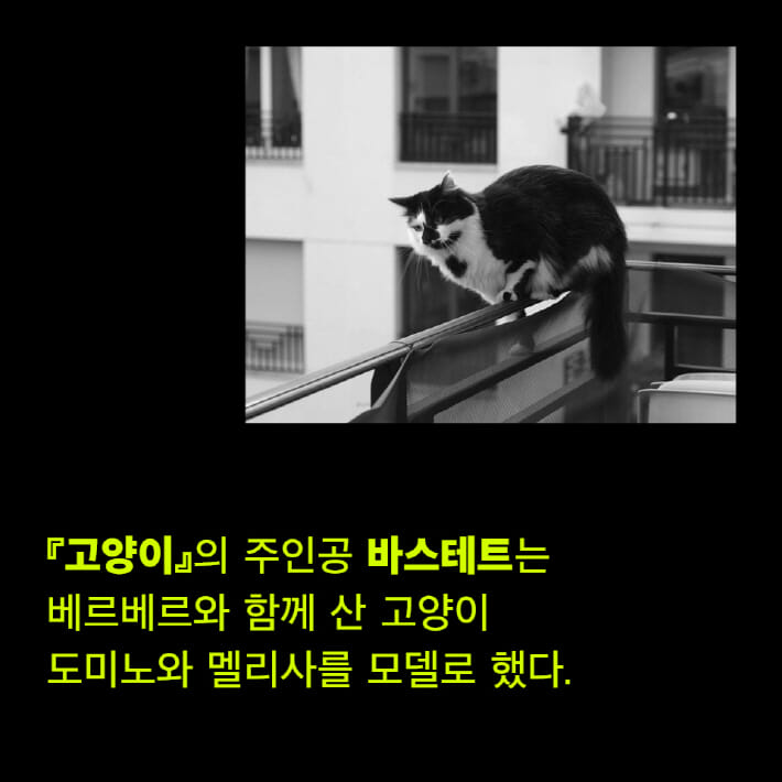 카드뉴스5