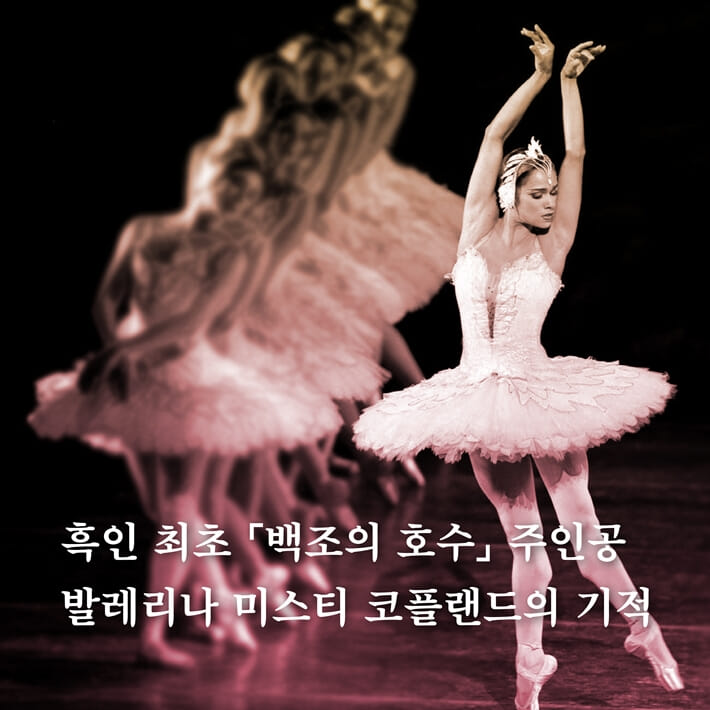 카드뉴스1