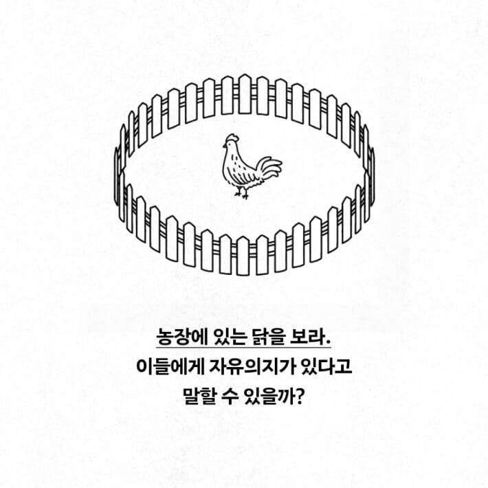 카드뉴스1