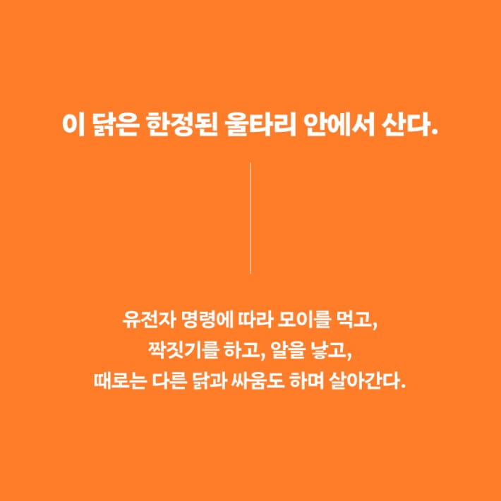 카드뉴스2