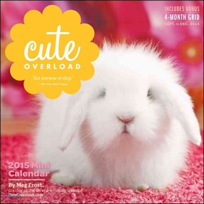 Cute Overload 2015 Calendar