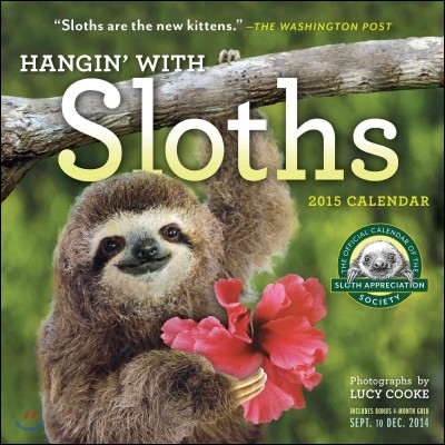 Hangin&#39; With Sloths 2015 Calendar