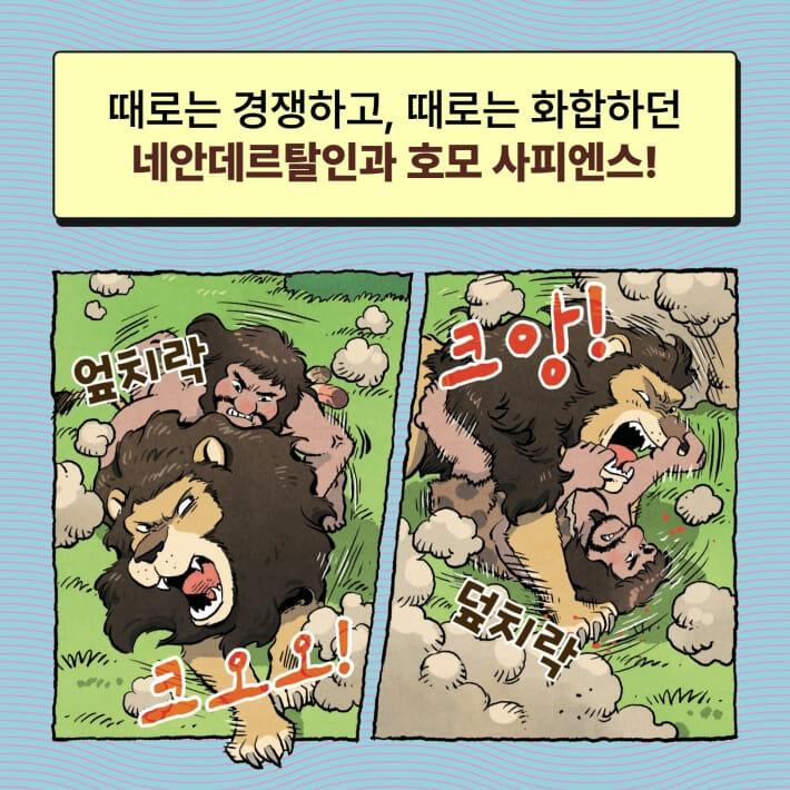 카드뉴스6