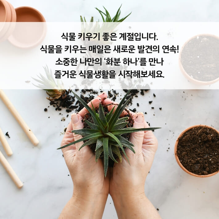 카드뉴스9