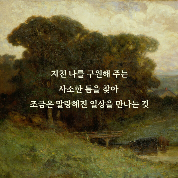 카드뉴스4