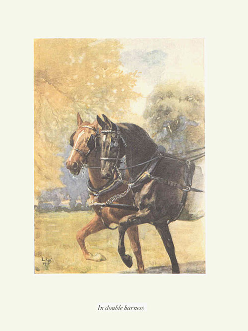 Black Beauty: Illustrated by Lucy Kemp Welch