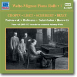 Vladimir Horowitz 벨테-미뇽 피아노 롤 1집 (Chopin / Liszt / Schubert / Bizet)