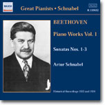 Artur Schnabel 베토벤: 피아노 소나타 1번 2번 3번 (Beethoven: Piano Works Vol.1) 아르투르 슈나벨