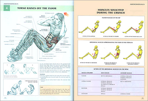 Women's Strength Training Anatomy