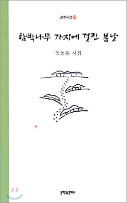 함박나무 가지에 걸린 봄날