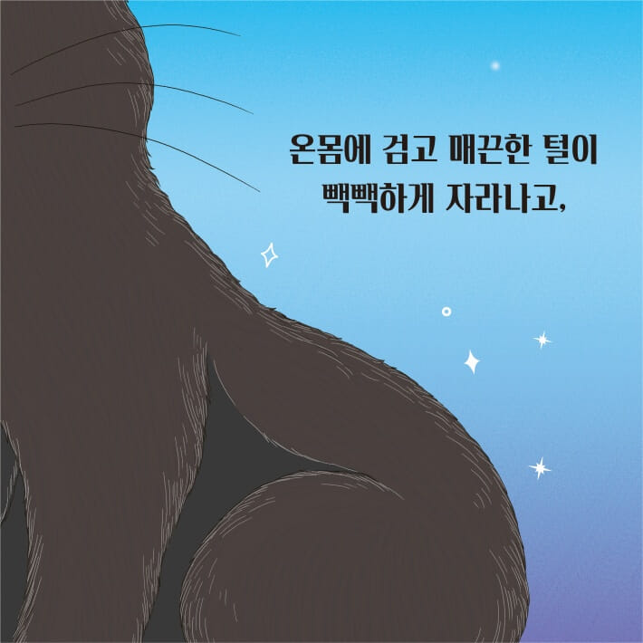 카드뉴스2