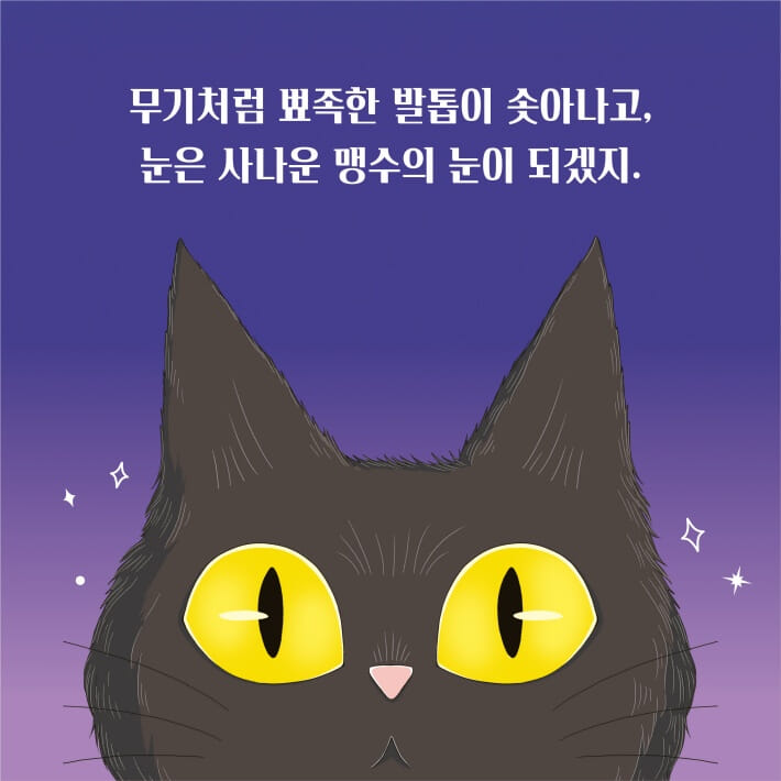 카드뉴스4