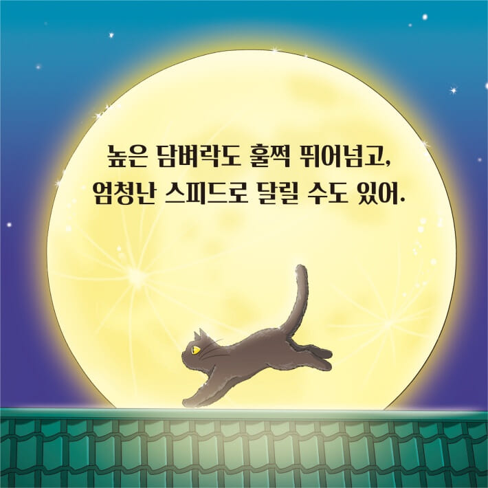 카드뉴스5