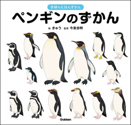 ペンギンのずかん