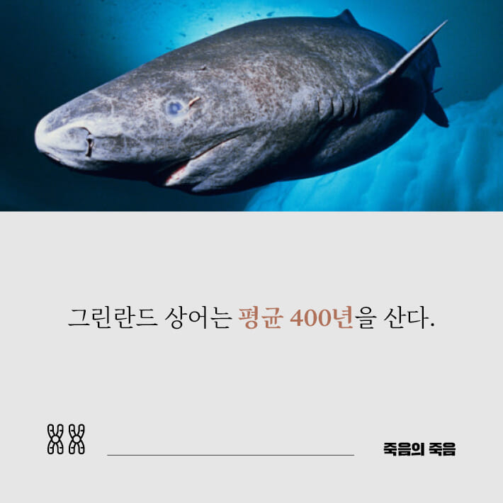 카드뉴스2