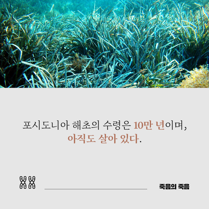 카드뉴스3