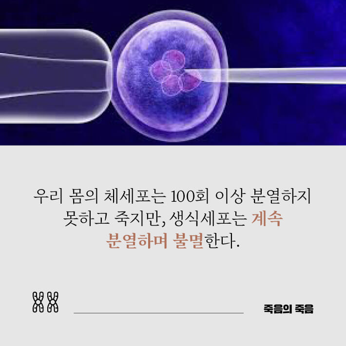 카드뉴스4