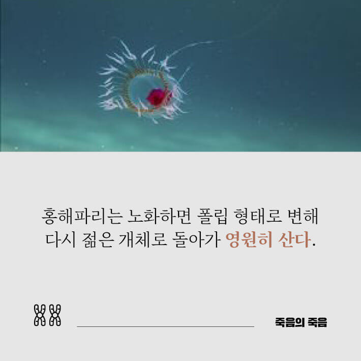 카드뉴스5