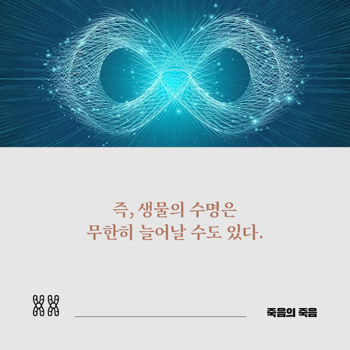 카드뉴스6