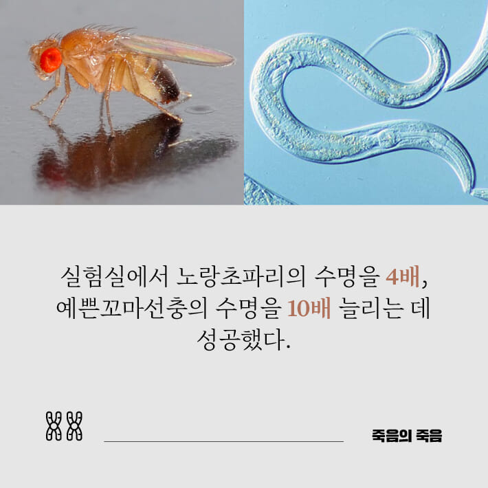 카드뉴스8