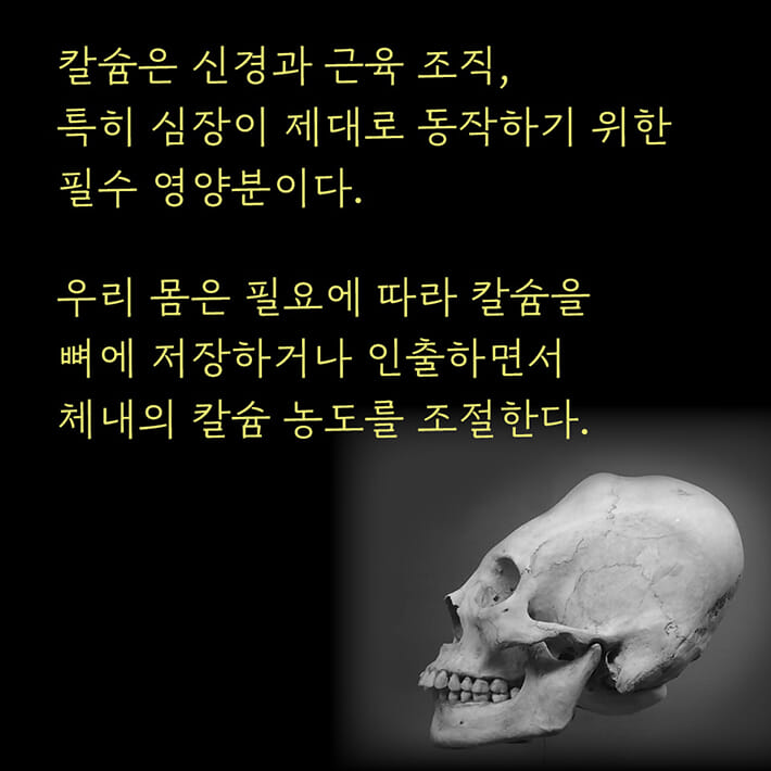 카드뉴스4