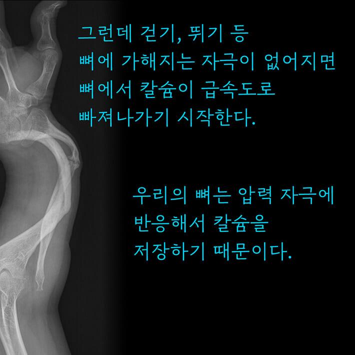 카드뉴스5