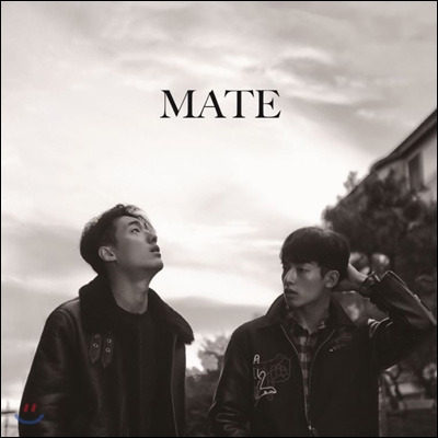 메이트 (Mate) - End Of The World