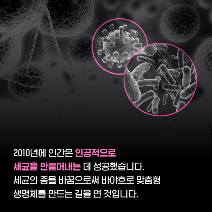 카드뉴스6
