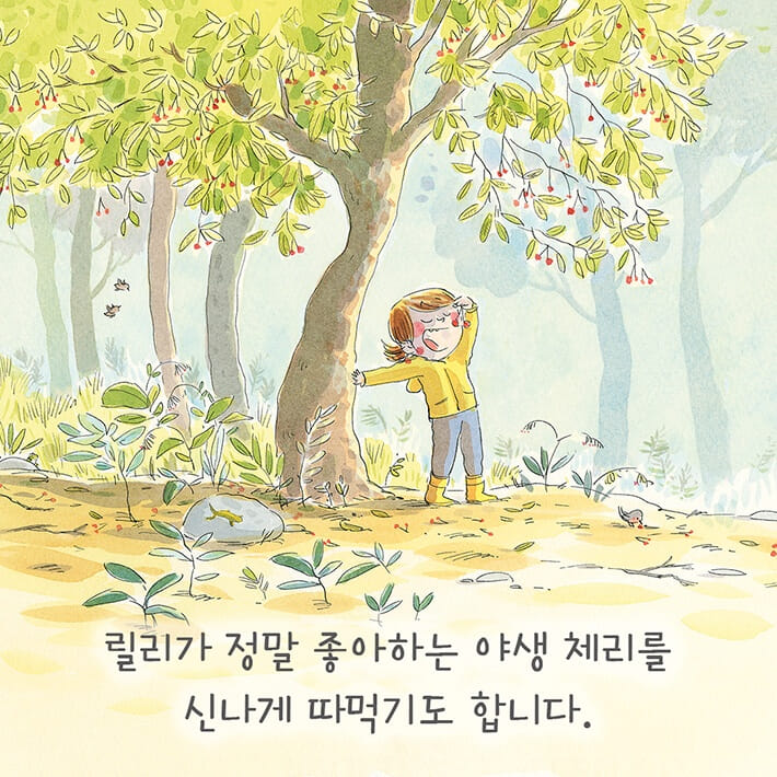릴리와 숲의 비밀 - 예스24