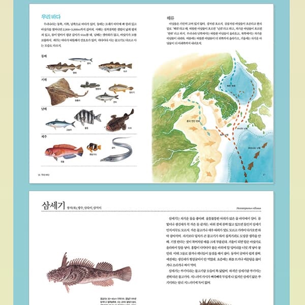 보리 세밀화로 그린 어린이 도감 17권세트/상품권1만