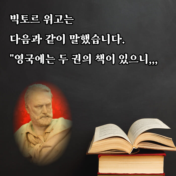 카드뉴스