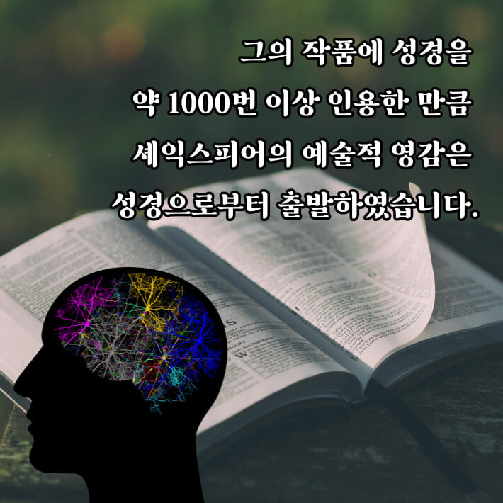 카드뉴스