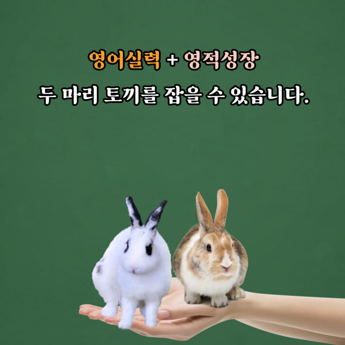 카드뉴스