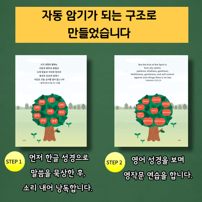 카드뉴스