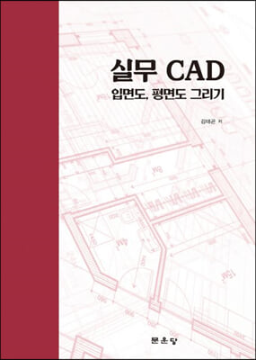 실무 CAD 입면도, 단면도 그리기