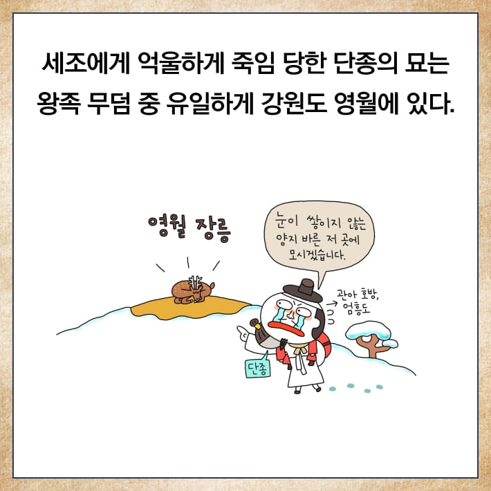 카드뉴스11