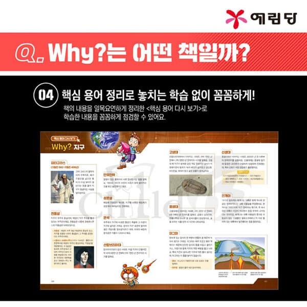 재정가 와이 why 과학+한국사+세계사+인문 206권 풀세트/상품권9만