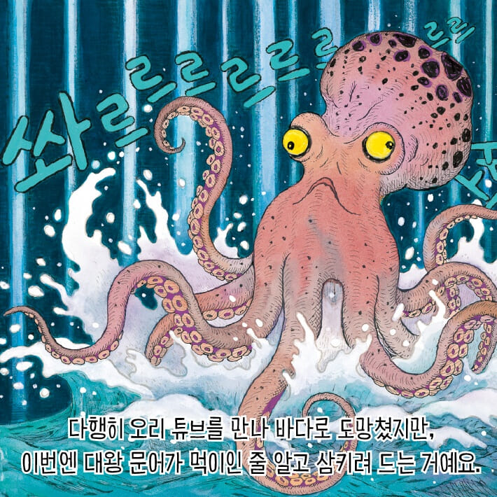 카드뉴스5
