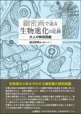 細密畵でたどりる生物進化の足跡