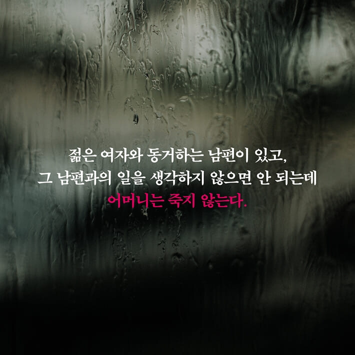 카드뉴스5