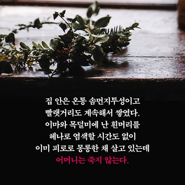 카드뉴스6