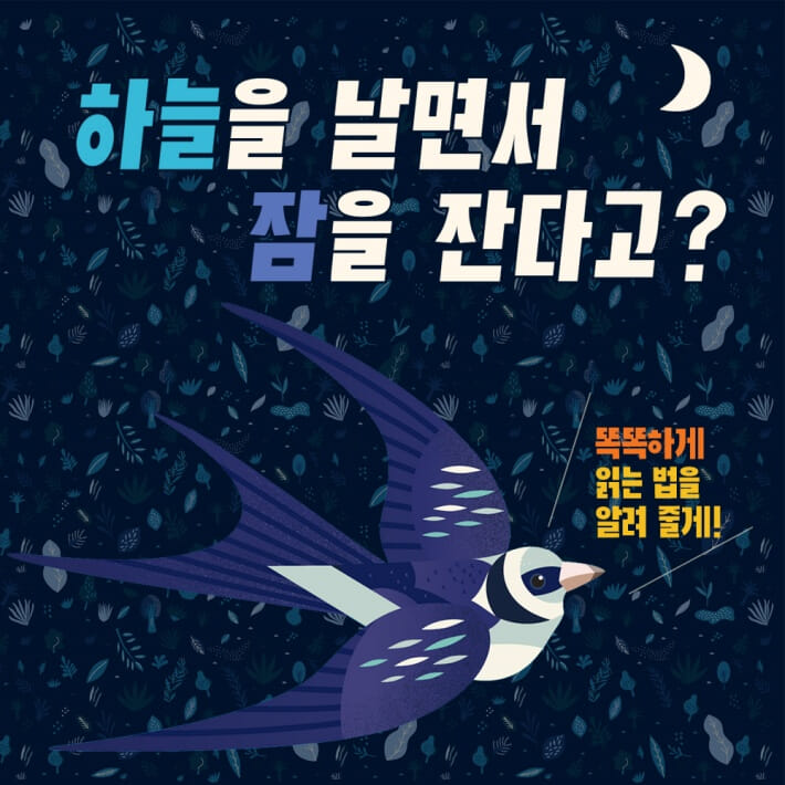 카드뉴스1