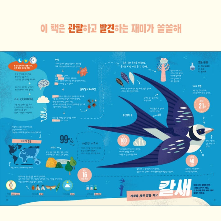 카드뉴스2