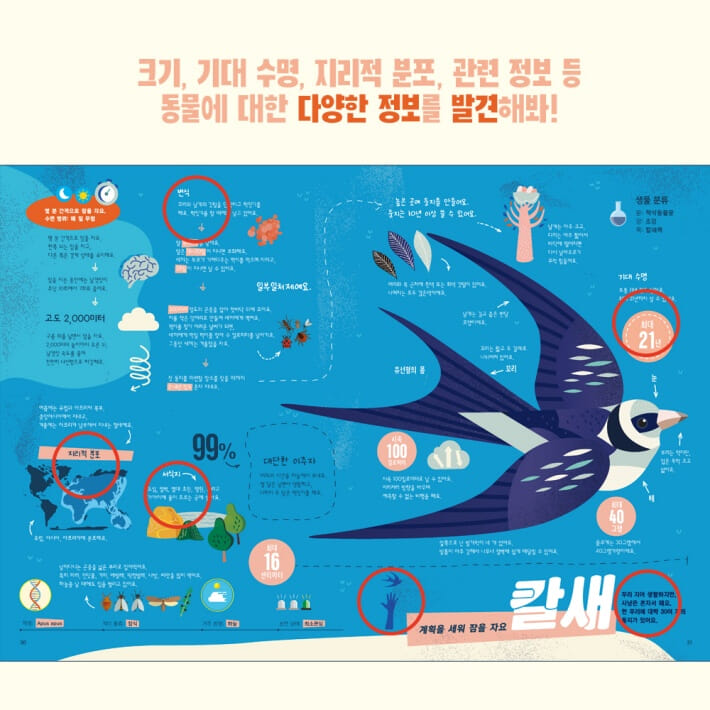 카드뉴스3