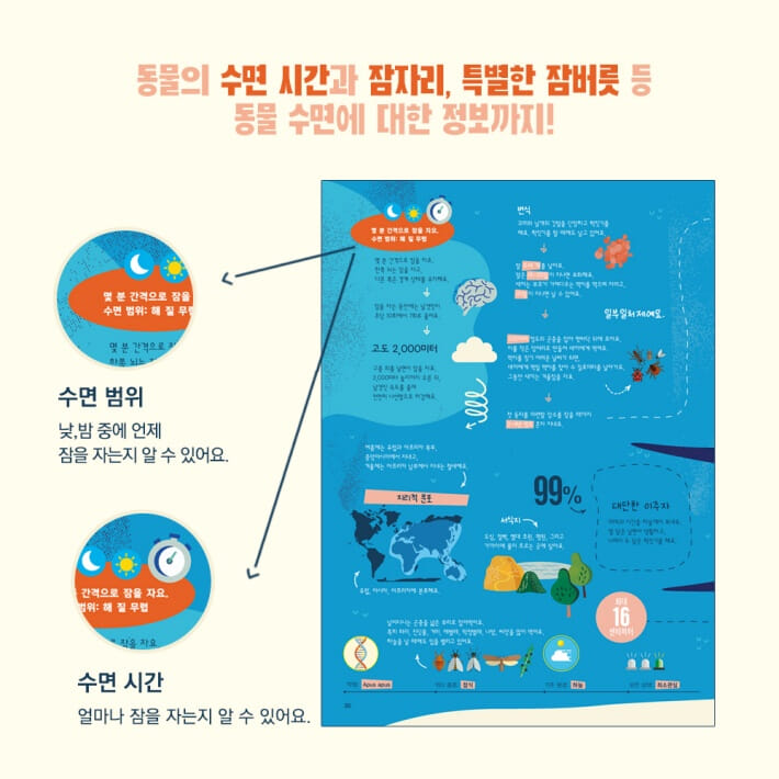 카드뉴스4