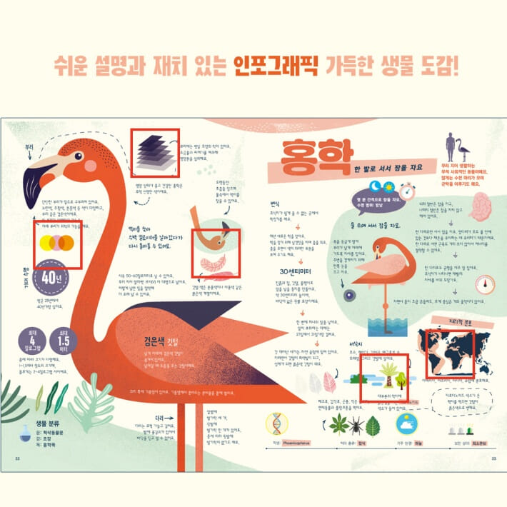 카드뉴스5