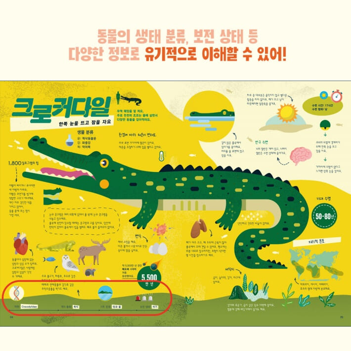 카드뉴스6